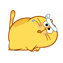 sumo cat