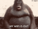 Fat Ape GIF