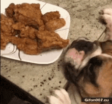 National Fried Chicken Day Funny Animals GIF - National Fried Chicken Day Fried Chicken Funny Animals GIFs