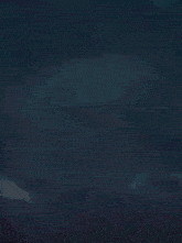 a silhouette of a spider is floating in the air