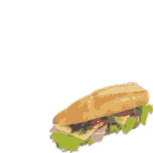 this is a sandwich sandwich sandwik this this is