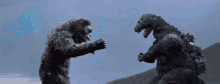 Godzilla King Kong GIF - Godzilla King Kong Kick GIFs