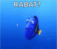 dory from the movie finding nemo is swimming in the ocean with the words " rabat " above him