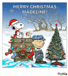 merry christmas charlie brown snoopy