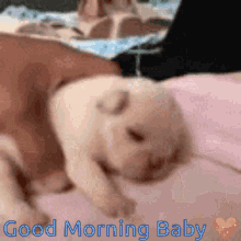 Yawn Cute Puppy GIF - Yawn Cute Puppy GIFs