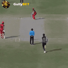 Gullybet Wicket Out GIF