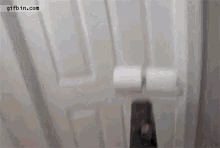 Prank Toilet Paper GIF