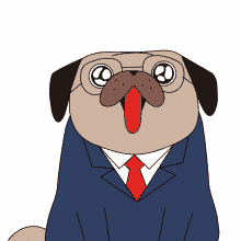 pug president doggo dog excited