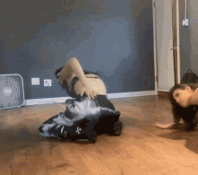 Hpw Paige GIF