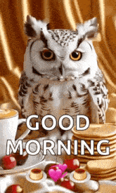a white owl is sitting on a table next to a cup of coffee and a stack of pancakes .