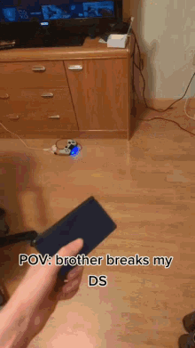 breaks brother