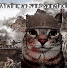 When Your Cat Want'S Food GIF