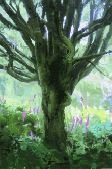 Tree Forest GIF - Tree Forest Nature GIFs