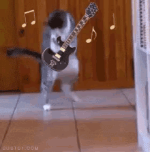 Meow Guitar Meow. GIF - Gu GIFs