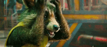 Guardians Of The Galaxy Raccoon GIF - Guardians Of The Galaxy Raccoon Rocket GIFs