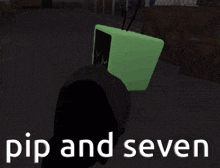 a picture of a tv with the words pip and seven written on it