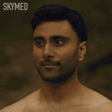 a shirtless man with a beard is featured in a skymed ad