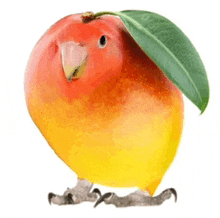 a bird that looks like a mango with a leaf on it 's head