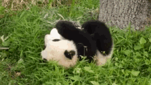 Rolling Panda GIF