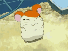 Hamster Happy GIF - Hamster Happy Anime GIFs