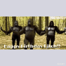 Dancing Gorilla GIF - Dancing Gorilla Dance GIFs