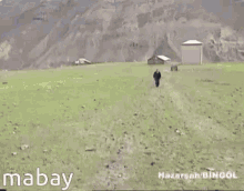 Mabay GIF - Mabay GIFs