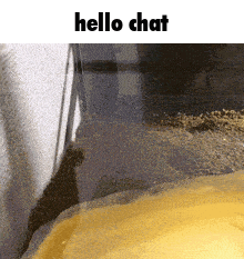 a picture of a cat in a glass container with the words hello chat on the bottom