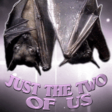 Just The Two Of Us Meme Bat Couple Meme GIF - Just The Two Of Us Meme Bat Couple Meme Atra Bilis Meme GIFs