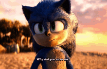 Sonic Movie2 Why Did You Save Me GIF - Sonic Movie2 Why Did You Save Me Sonic The Hedgehog2 GIFs
