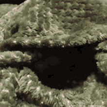 a close up of a green furry blanket with a hole in it .