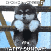 a puppy is hanging on a fence with the words `` good morning i love you happy sunday '' written on it .