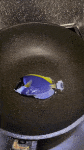 a blue and yellow fish is being cooked in a pan