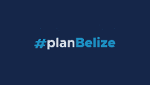 Plan Belize Blu GIF - Plan Belize Blu Pup GIFs