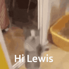 Lewis Cat Dance GIF