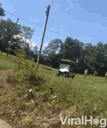 Buggy Accident GIF - Buggy Accident Crashed Into Post GIFs