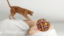 a cat is laying on a person 's back with a lotto balloon on it