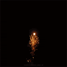 a picture of a fireworks display taken by courtesy of courtesy.tumblr.com