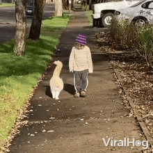 Walking Viralhog GIF