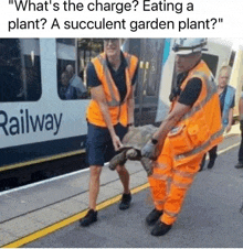 two men are carrying a turtle on a stretcher at a railway station .
