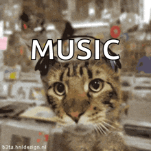Cat Listening To Music GIF - Cat Listening To Music Jamming GIFs
