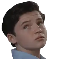 a close up of a young man 's face with a blue shirt on
