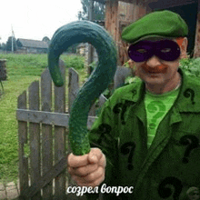 a man dressed as the riddler is holding a cucumber in his hand .