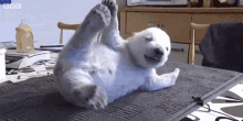 Life Is Hard GIF - Polar Bear Cant Get Up Tired GIFs