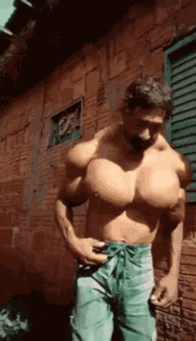 Muscle Man GIF - Muscle Man GIFs