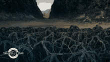 Dry Area The Wheel Of Time GIF - Dry Area The Wheel Of Time Dead Area GIFs