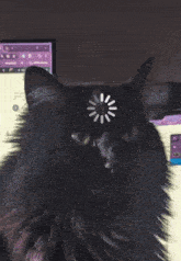 a black cat is sitting in front of a computer with a loading screen on its face