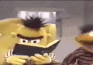 bert looking up from reading his book like what in the world