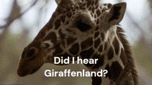 Giraffenland Land GIF