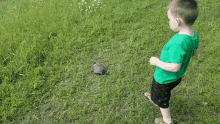 Turtle Boy GIF - Turtle Boy Walk After Turtle GIFs