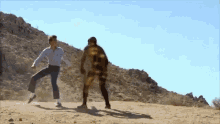 Fighting Counter GIF - Fighting Counter Shadow GIFs